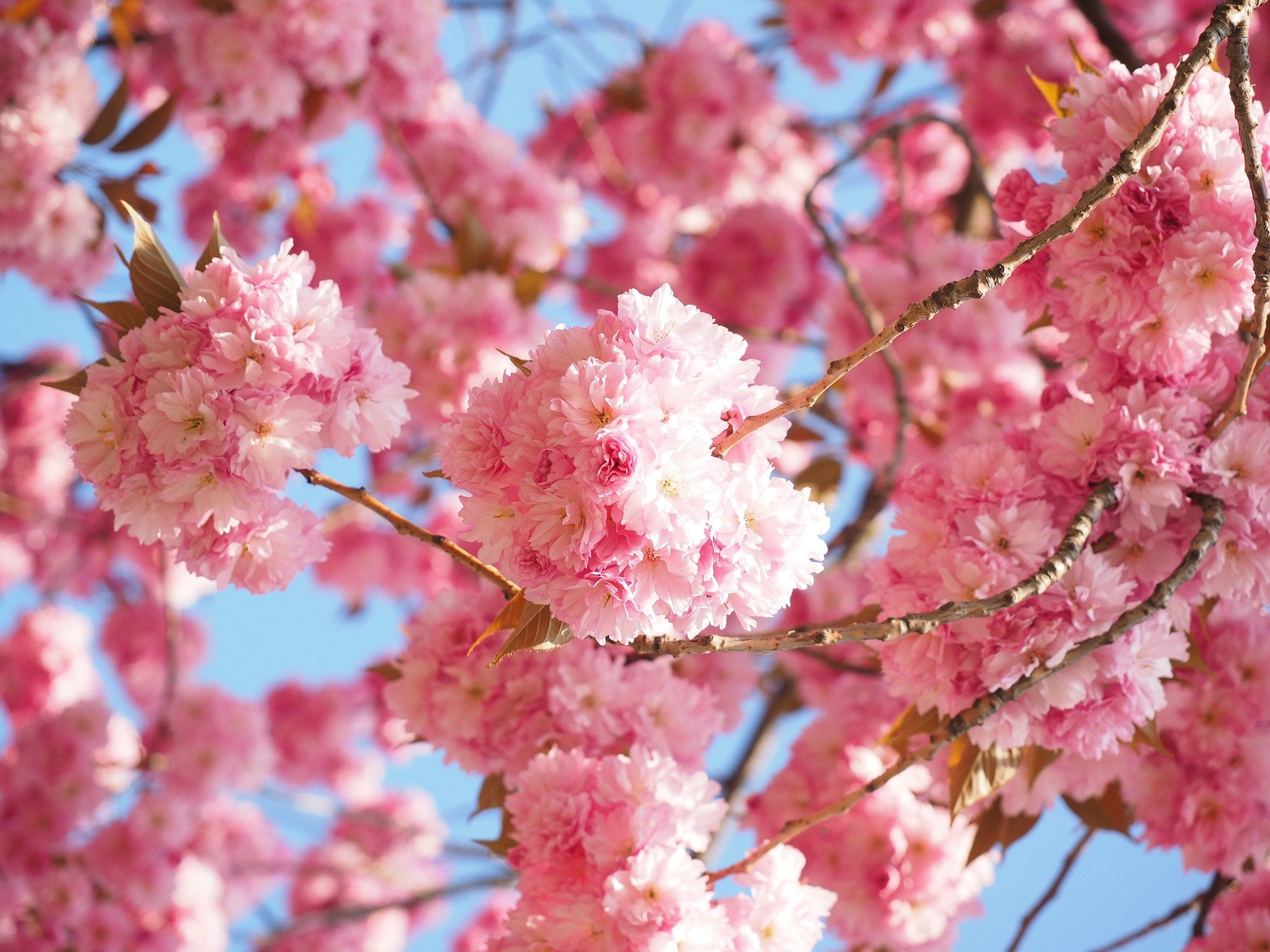Spring Cleaning Your Investments - Unique Financial Advisors - post